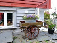Fahrbarer Blumenuntersetzer