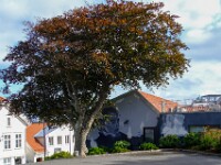 Wandmalerei