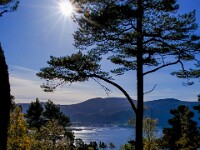 Die Sonne fasziniert