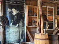 IMG 6786-11