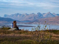 Lofoten
