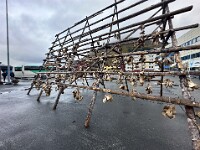 Stockfisch ist durch Lufttrocknung haltbar gemachter Fisch – vor allem Kabeljau (Dorsch), auch Seelachs, Schellfisch und Leng. Vor der Trocknung werden die Köpfe und Eingeweide der Fische entfernt.  Beim Stockfisch werden die Fische paarweise an den Schwanzflossen zusammengebunden und zum Trocknen auf Holzgestelle (norwegisch stokk) gehängt. Neuere Forschungen am Helmholtz-Zentrum für Ozeanforschung Kiel ergaben, dass diese Konservierungsmethode ab dem 8. Jahrhundert in Nordnorwegen praktiziert wurde. Bisher wurde angenommen, dass dies erst ab dem 13. Jahrhundert geschah.[1]