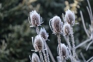 Winter2024-2-1