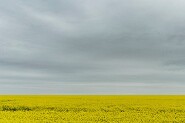 Stonehenge-4