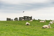 Stonehenge-9