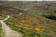 LandsEnd-670