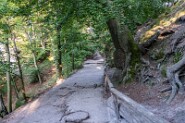 DSCF6962-7 Aufstieg zur Bastei