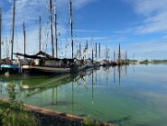 IMG_2232-7