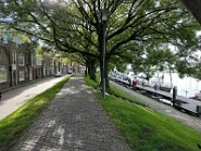 IMG_2234-9