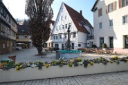 DSCF2033-14