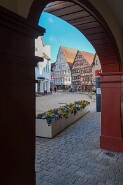 DSCF2036-17