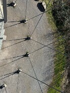 IMG_0493