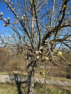 IMG_0496