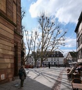 DSCF1947-12