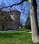 DSCF1074-45