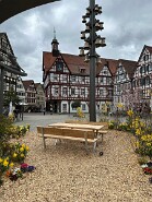 IMG_0632