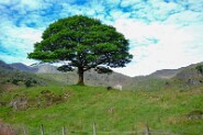 Hardknott-8-3 Lake District