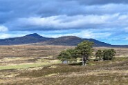 850_9088-11 Karge schottische Landschaft