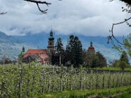 IMG_0030-1