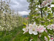 IMG_0041-7