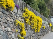 IMG_0053-16