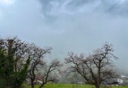 IMG_0065-4