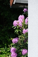 DSCF1660-24