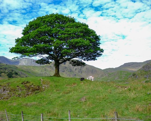 Hardknott-8-3 Lake District