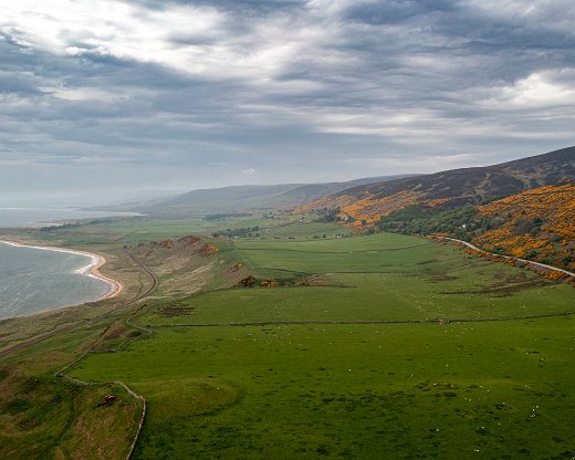 DJI_0966-6 Ginster ohne Ende fast überall