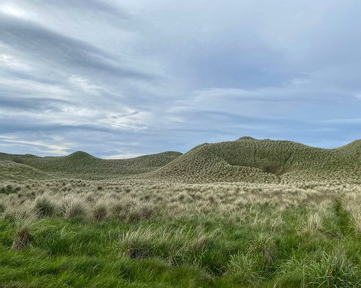 IMG_5605-11 Zw. John o'Groats und Thurso