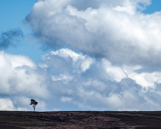 Schottland-9-8 Unterwegs