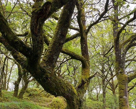 IMG_6119-6 Am Strassenrand