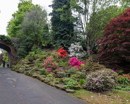 DSCF9135-57 Pittencrieff Park