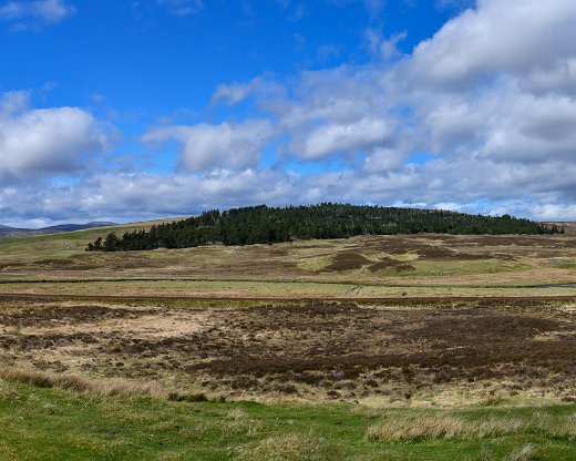 850_9074-Pano-10 Typische schottische Landschaft