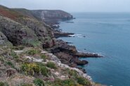 Am Cap Fréhel Steilküste am Kap Fréhel