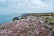 Am Cap Fréhel Am Cap Fréhel