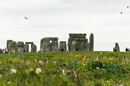 Stonehenge-13