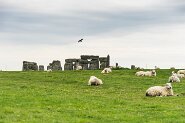 Stonehenge-9