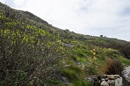 LandsEnd-641