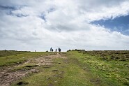 LandsEnd-659