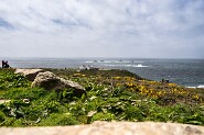 LandsEnd-697