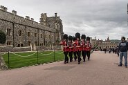 Windsor-272
