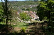 Blick auf Calw