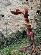 IMG_0383-22