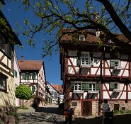 DSC05522-6