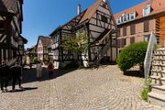 DSC05531-12