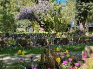 sog. Alter Friedhof