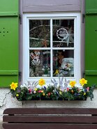 3CC30707-551F-4E61-8987-0357FF35520F_1_105_c-22