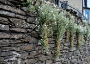 Windermere-17-11 Windermere