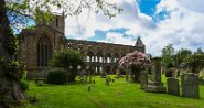 Schottland-17-7 Jedburgh Abbey